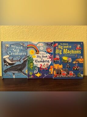 The Usborne Big Book Set - Sea Creatures, Numbers & Big Machines